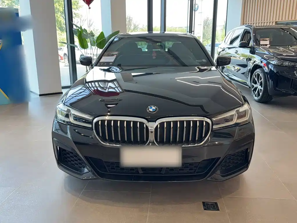 BMW 5 Series (Import) — миниатюра 5