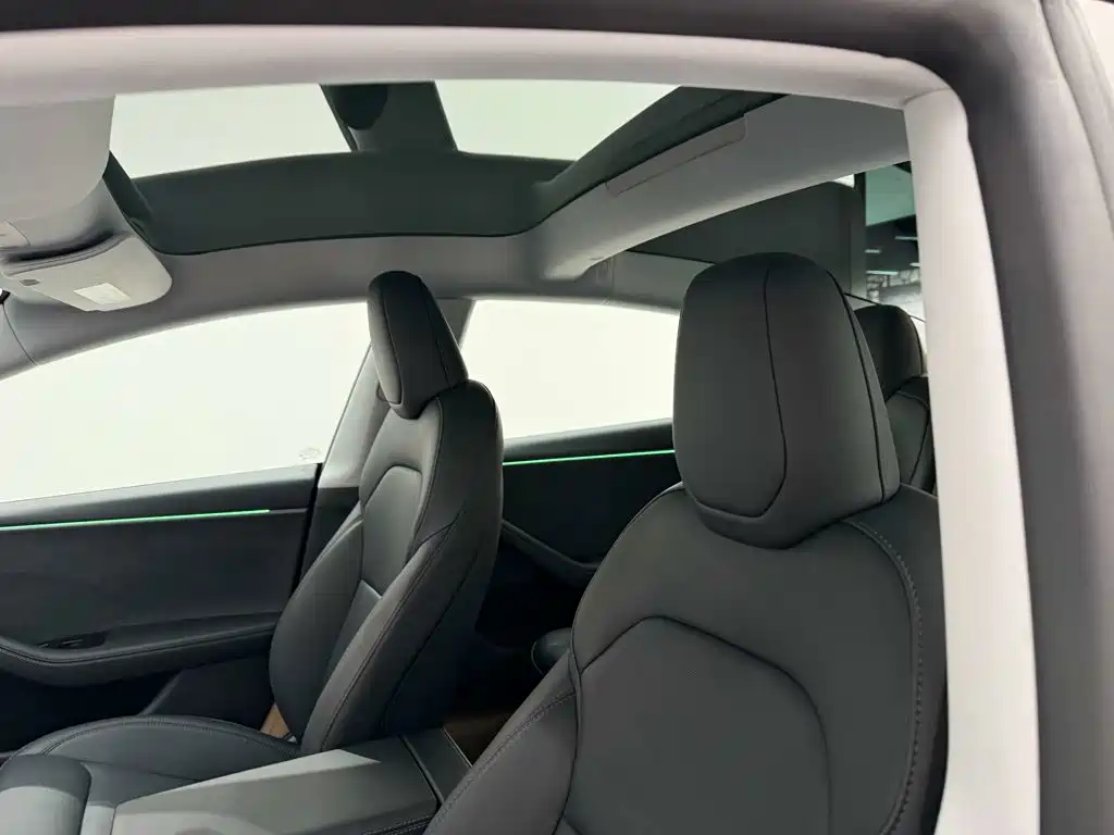 Tesla Model 3 — миниатюра 20