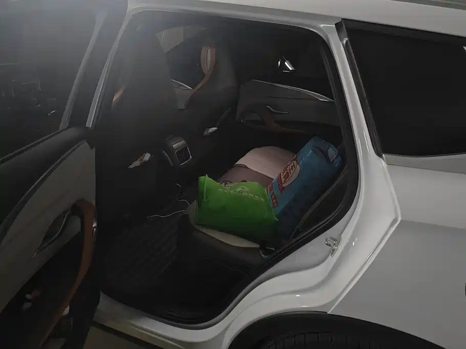 BYD Pro New Energy — миниатюра 11