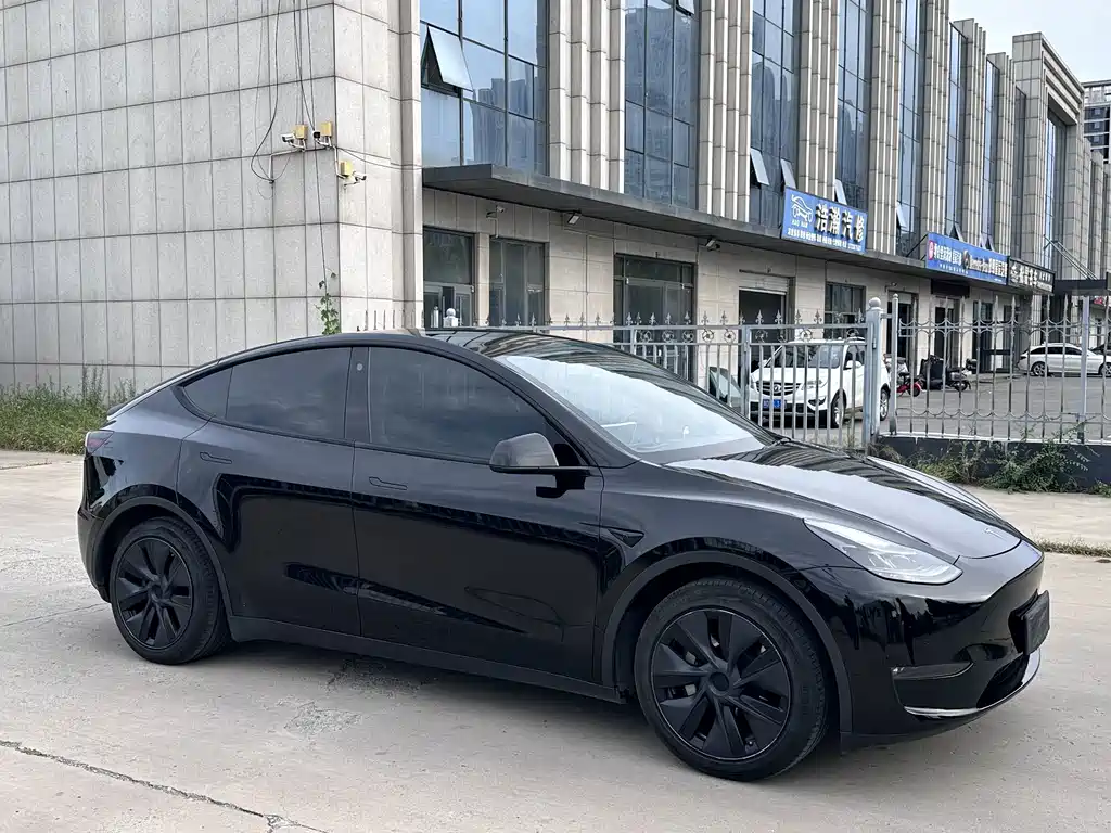 Tesla Model Y — миниатюра 3