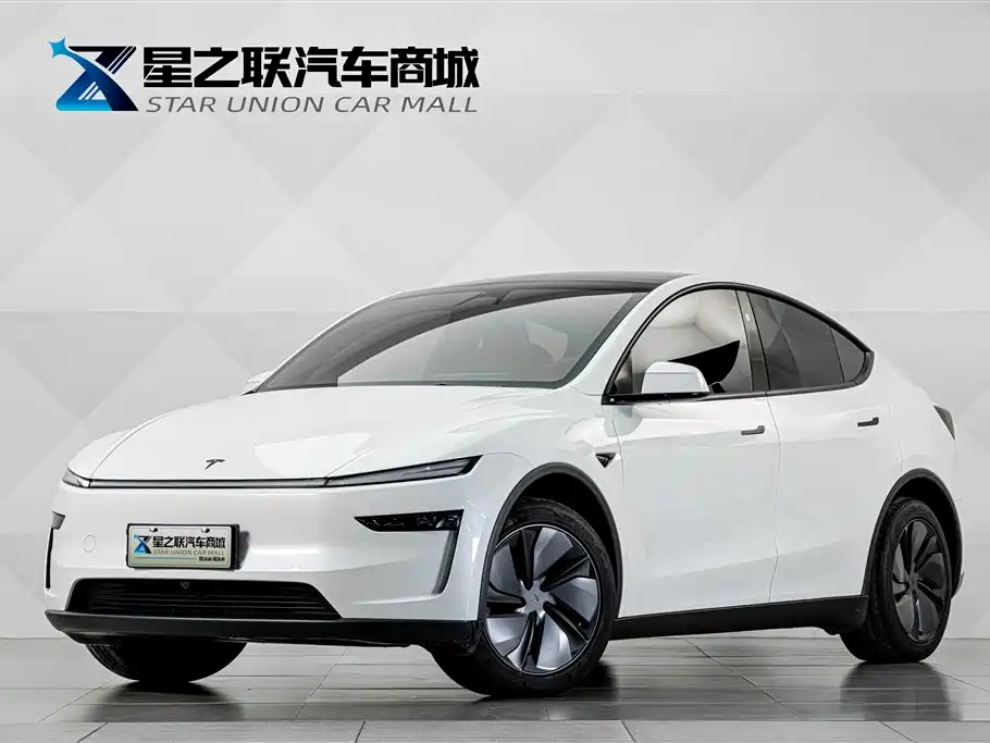 Tesla Model Y — миниатюра 2