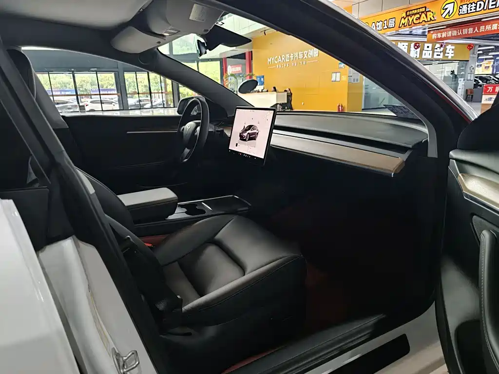 Tesla Model Y — миниатюра 6