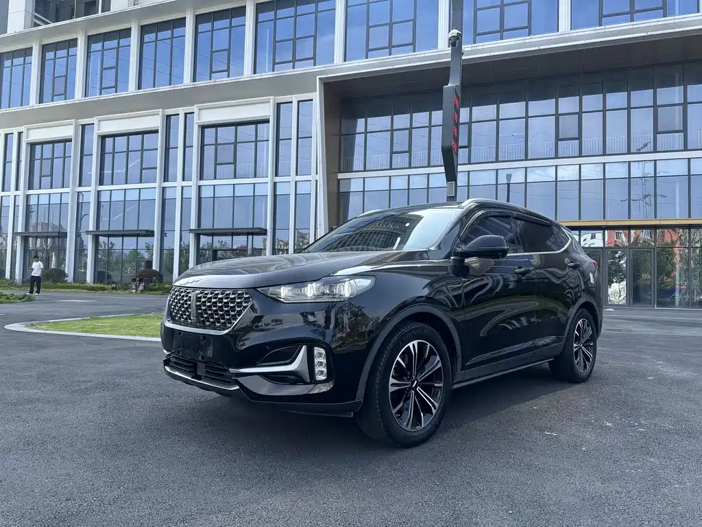 Wey Wey VV6 — миниатюра 3
