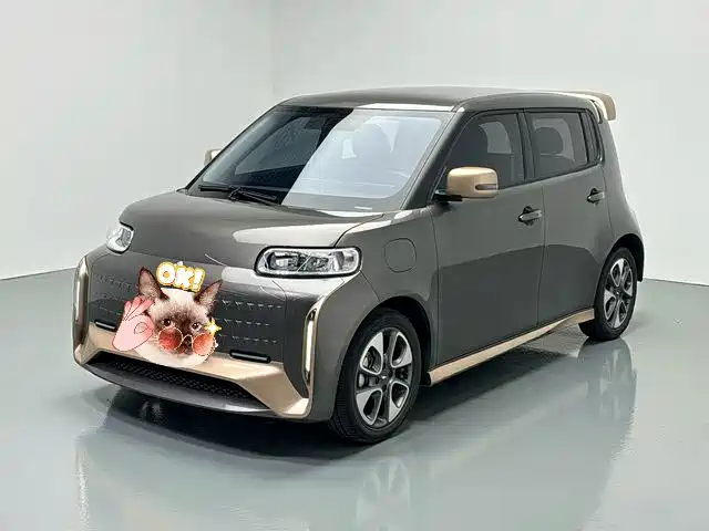 Ora Ora White Cat