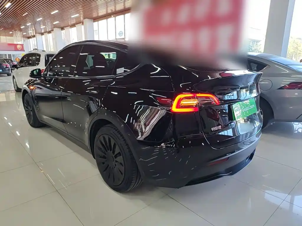 Tesla Model Y — миниатюра 5