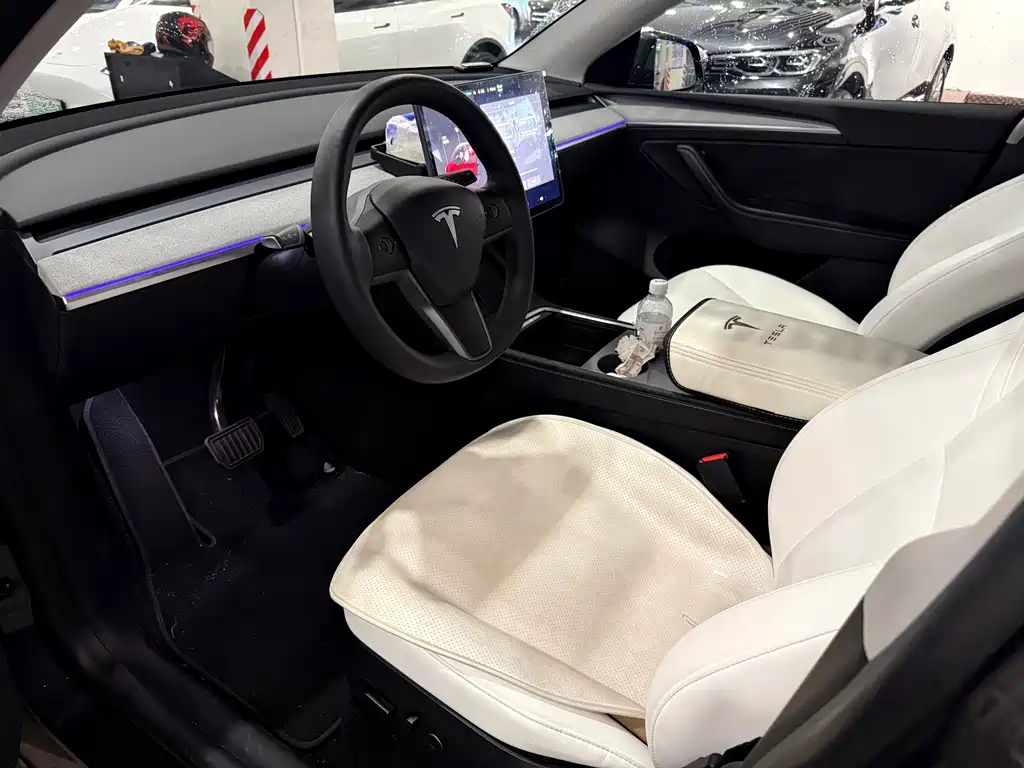 Tesla Model Y — миниатюра 6