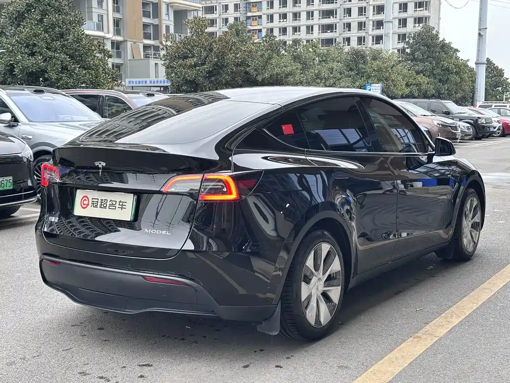 Tesla Model Y — миниатюра 3
