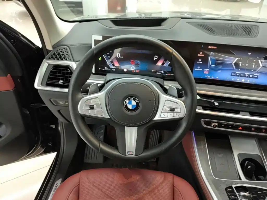 BMW X5 — миниатюра 11