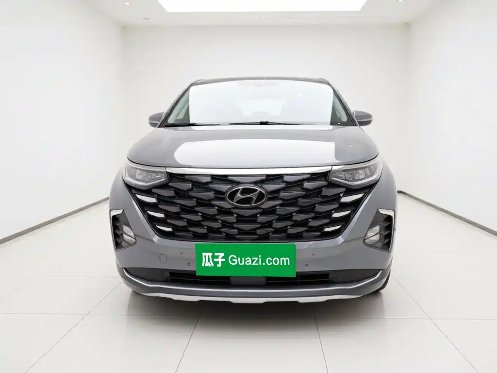 Hyundai Custo — миниатюра 2