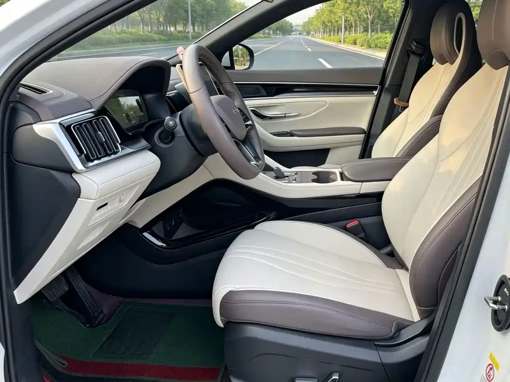 BYD PLUS New Energy — миниатюра 8