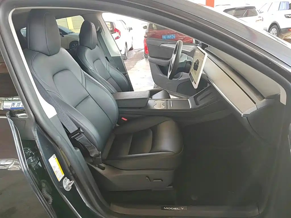Tesla Model Y — миниатюра 25