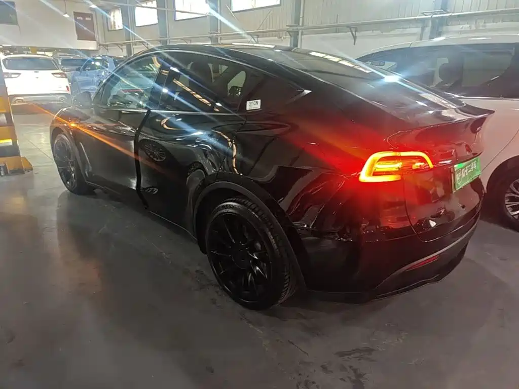 Tesla Model Y — миниатюра 5