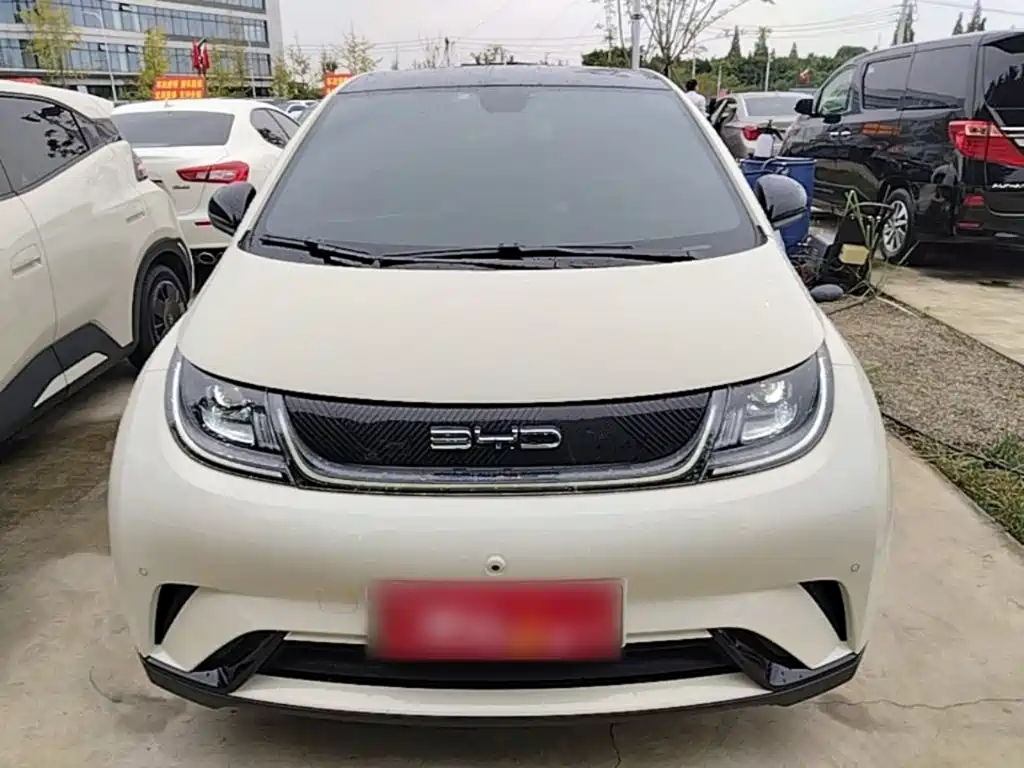 BYD Dolphin — миниатюра 3