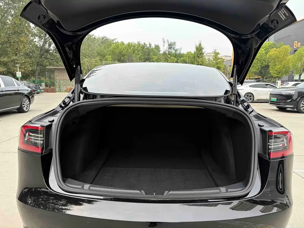 Tesla Model 3 — миниатюра 18