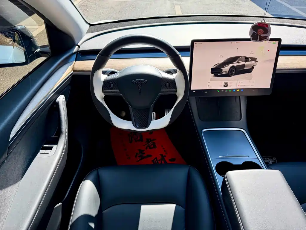 Tesla Model Y — миниатюра 12