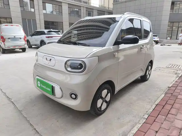 2024 Wuling Motors Hongguang Mini EV