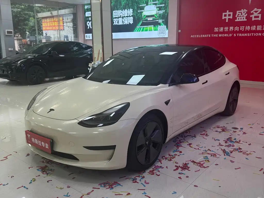 Tesla Model 3 2021