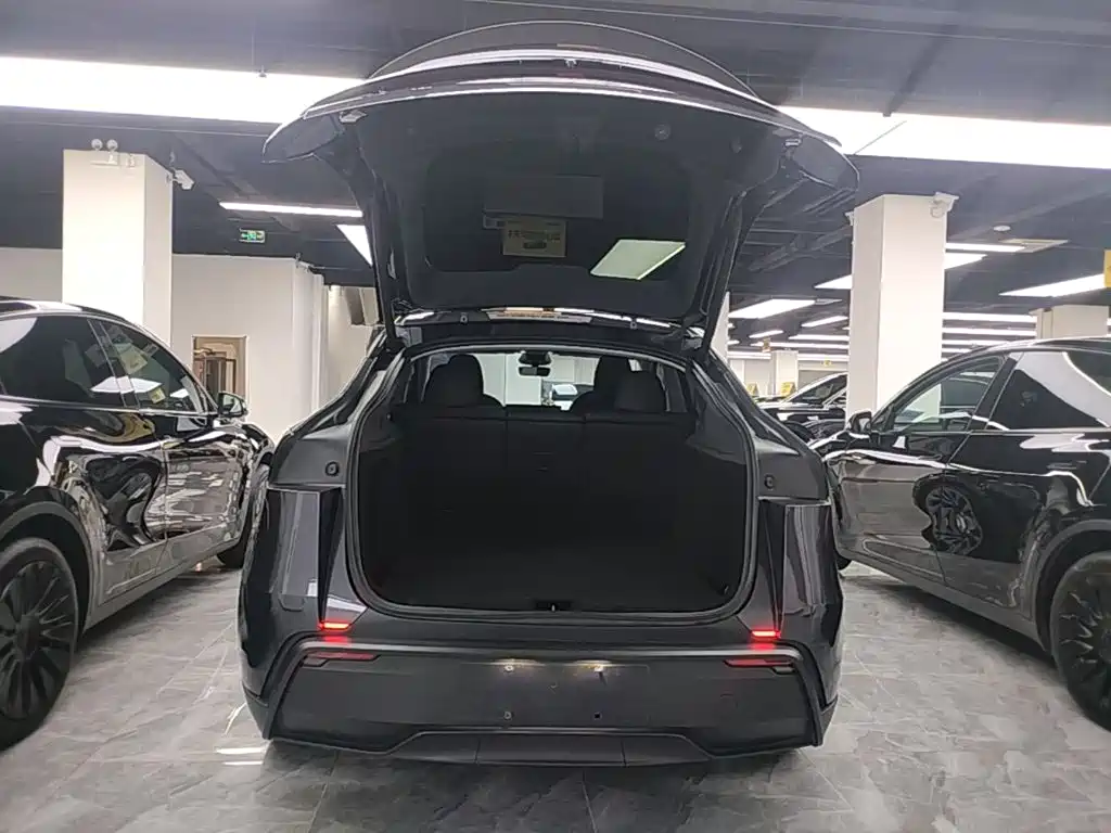 Tesla Model Y — миниатюра 19