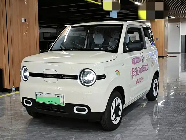 2025 Geely LC (Panda)