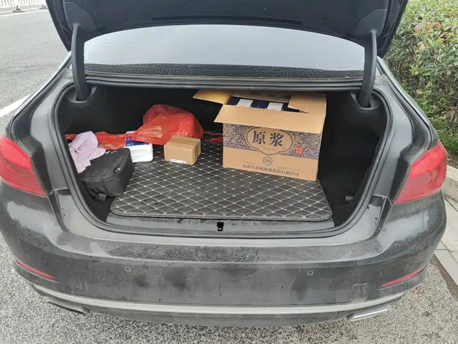 BMW 5 SERIES NEW ENERGY