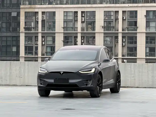 TESLA MODEL X 2019