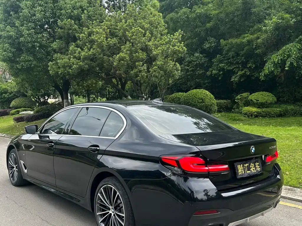 BMW 5 Series — миниатюра 4