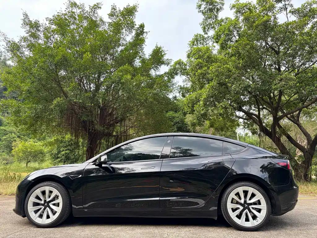 Tesla Model 3 — миниатюра 4