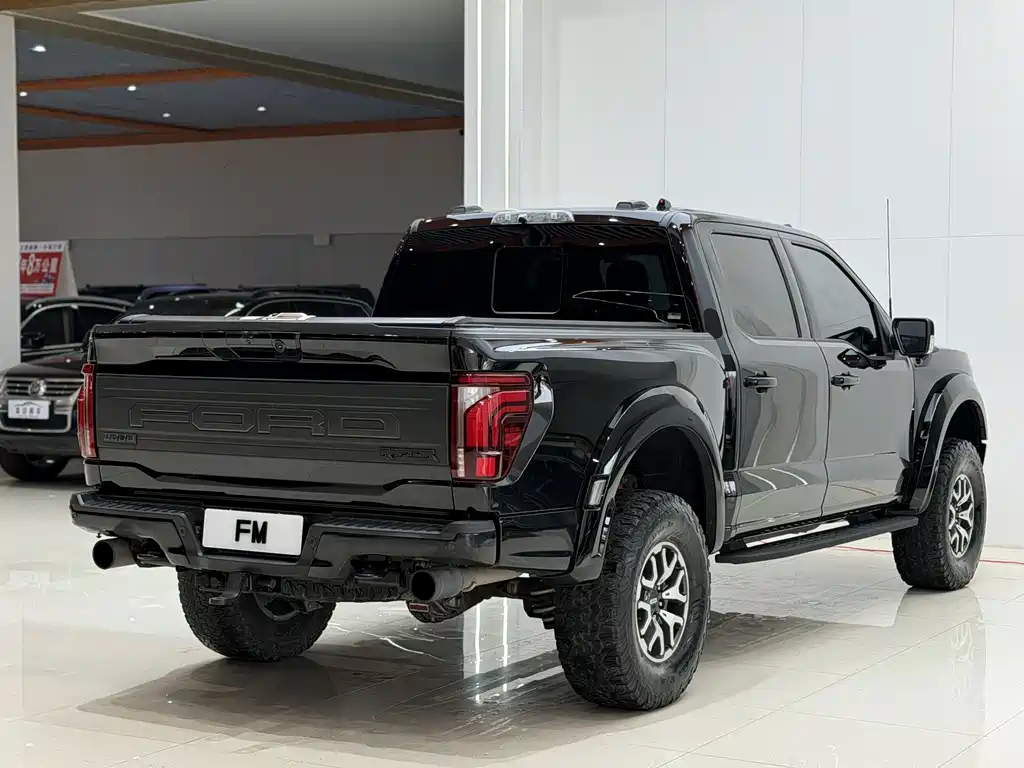 Ford F-150 Raptor — миниатюра 19