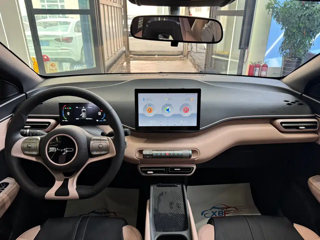 BYD Seagull