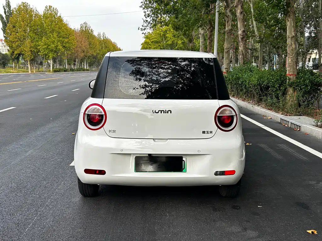 Qiyuan Lumin — миниатюра 5