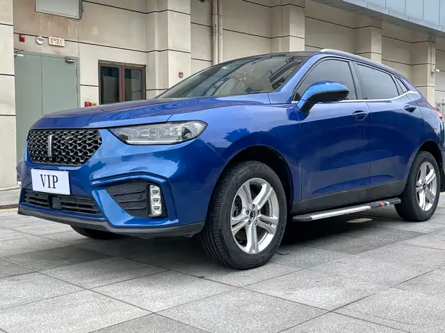 2020 Wey VV5
