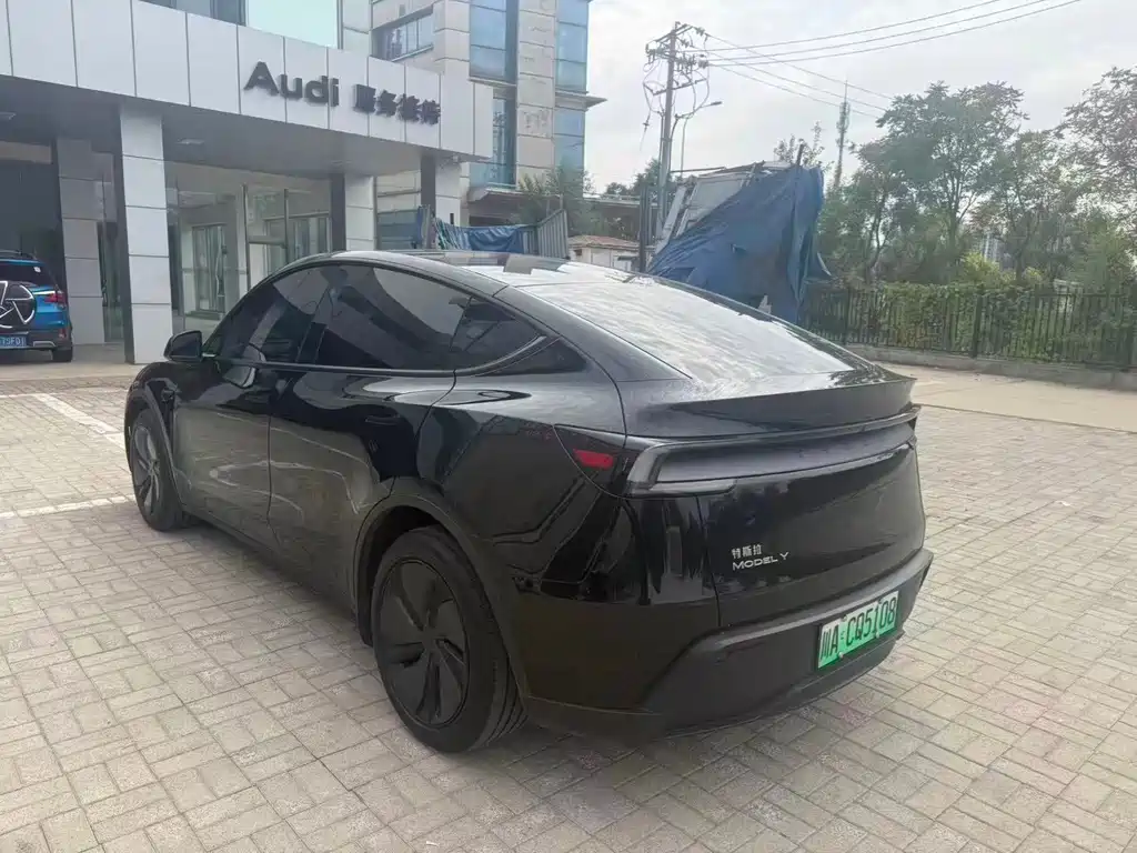 Tesla Model Y — миниатюра 4