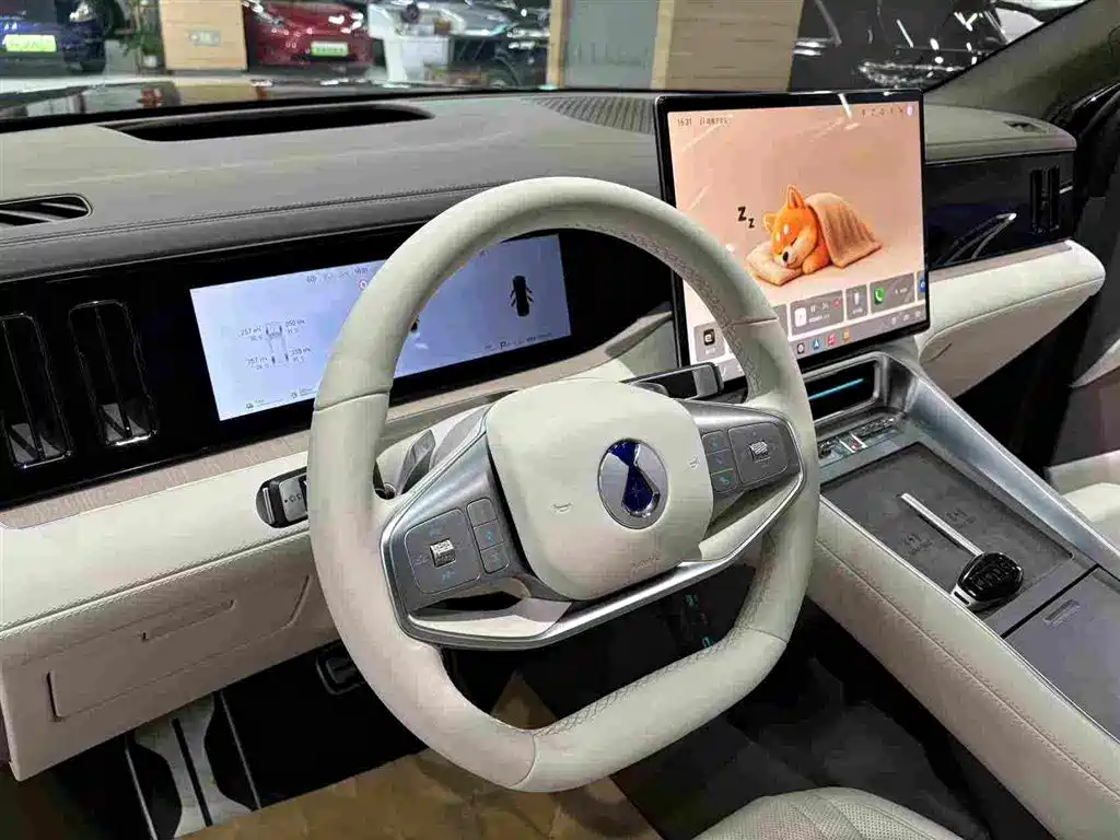 Denza Zoom N8L — миниатюра 17