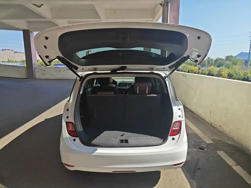 Buick GL6 — миниатюра 19