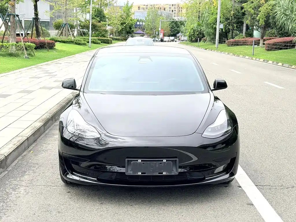Tesla Model 3 — миниатюра 2
