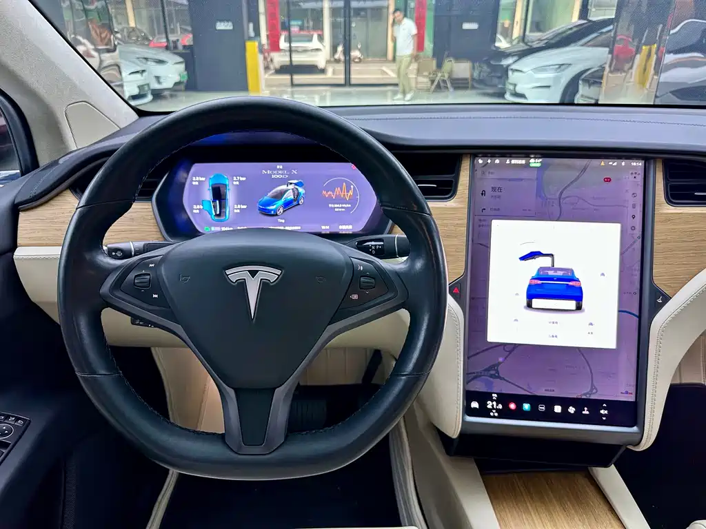 Tesla Model X — миниатюра 14