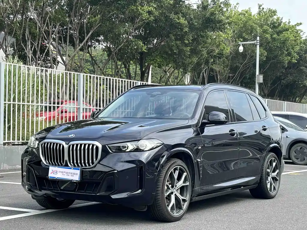BMW X5 — миниатюра 16