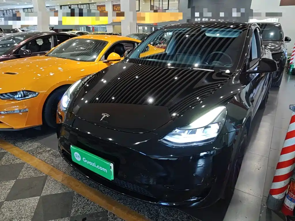 Tesla Model Y — миниатюра 2