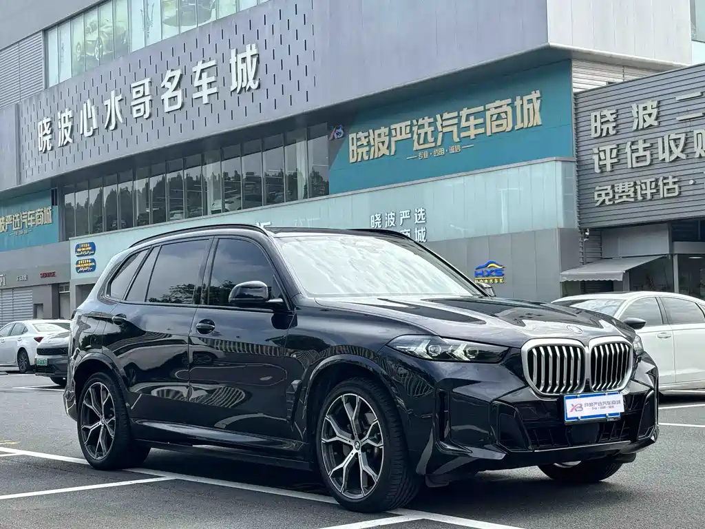 BMW X5 — миниатюра 3