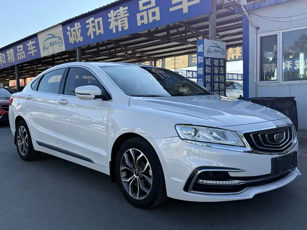 Geely Borui 2.4L Comfort Type, фото 3