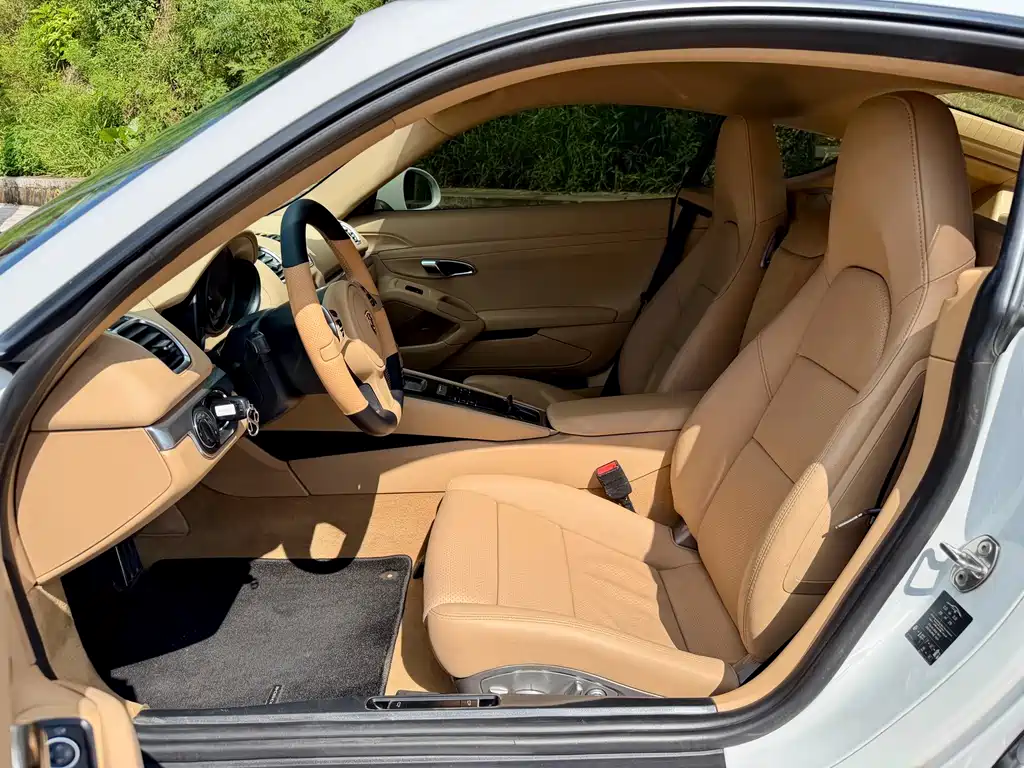 Porsche Cayman — миниатюра 15