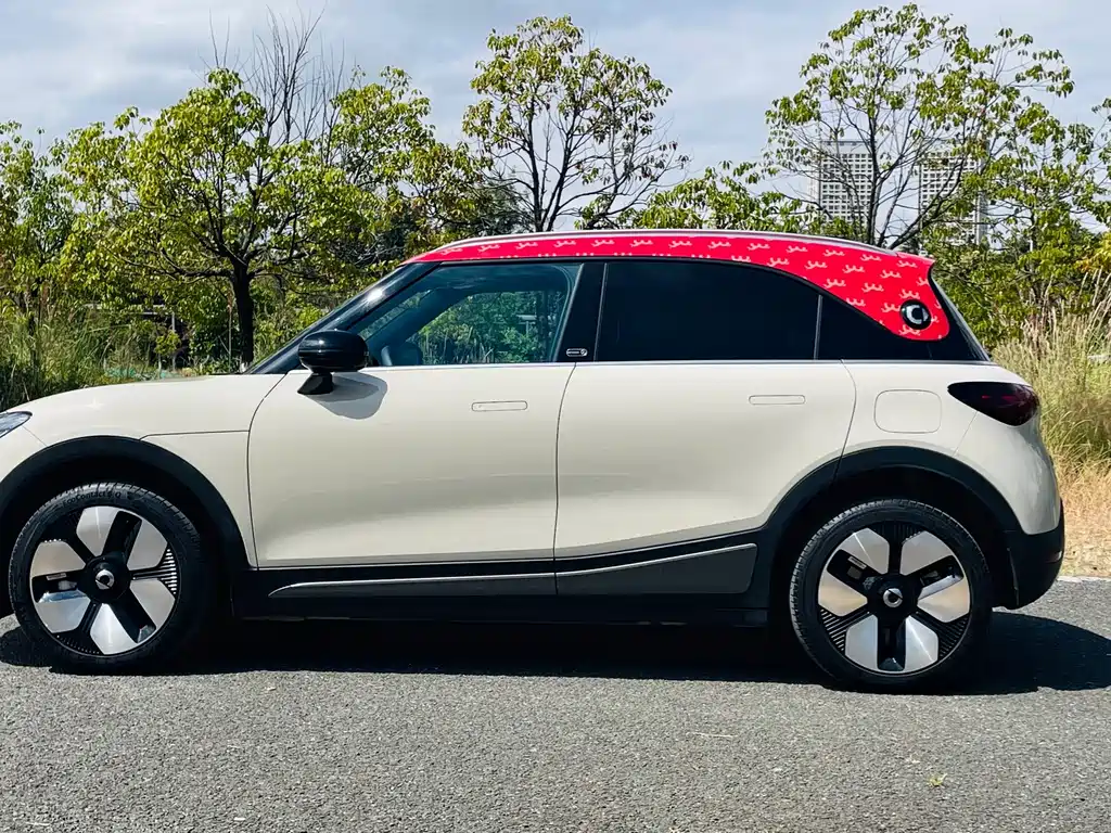 smart Smart #1 — миниатюра 8