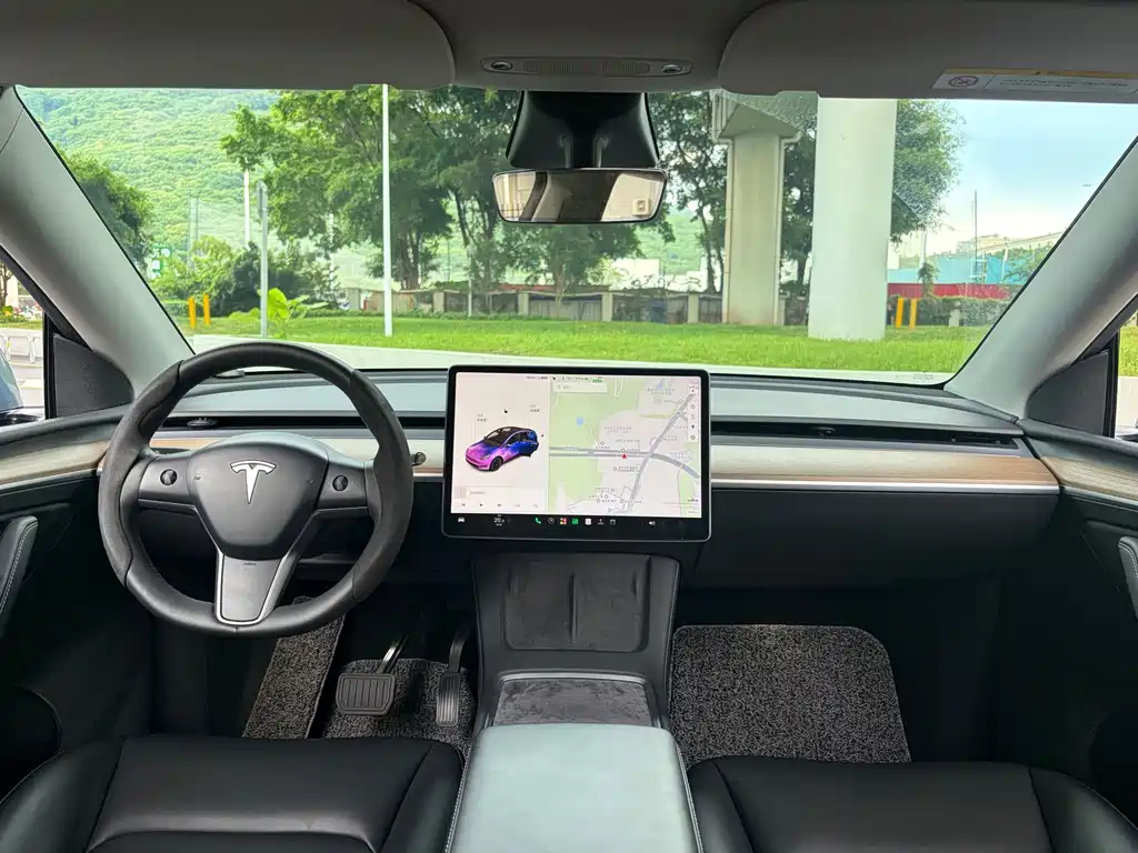 Tesla Model Y — миниатюра 5