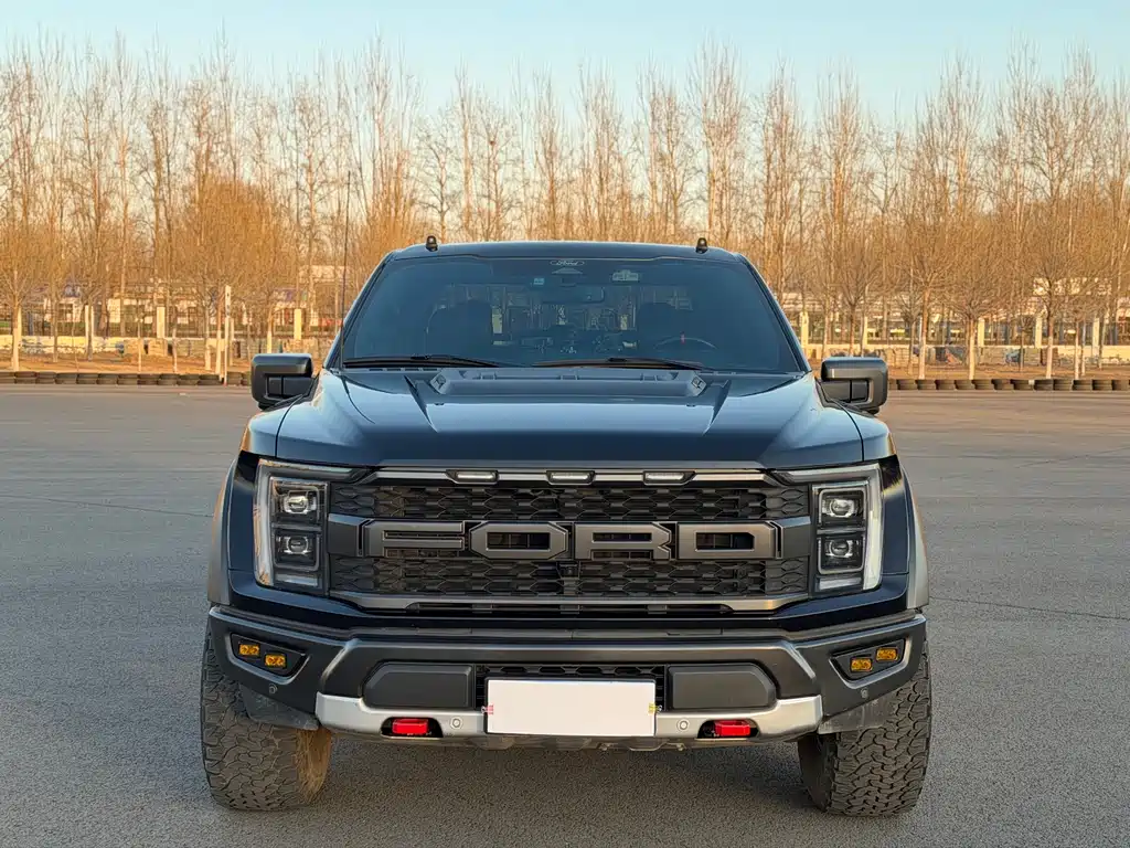 FORD F 150 RAPTOR
