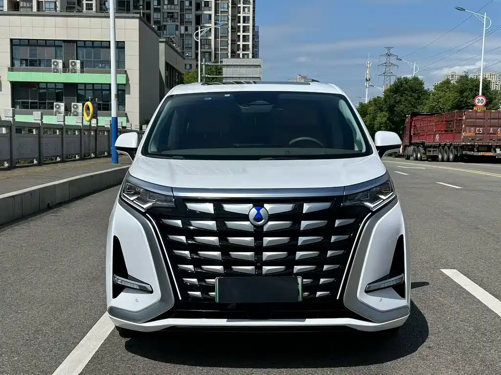 Denza Denza D9 — миниатюра 2