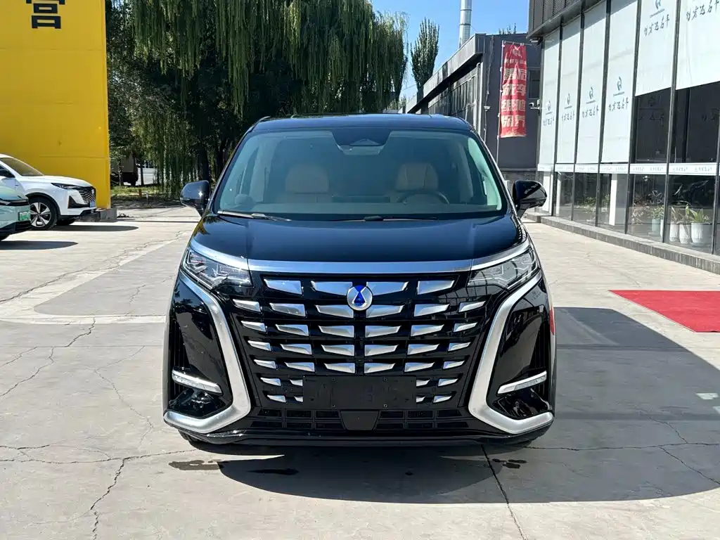 Denza Denza D9 — миниатюра 2