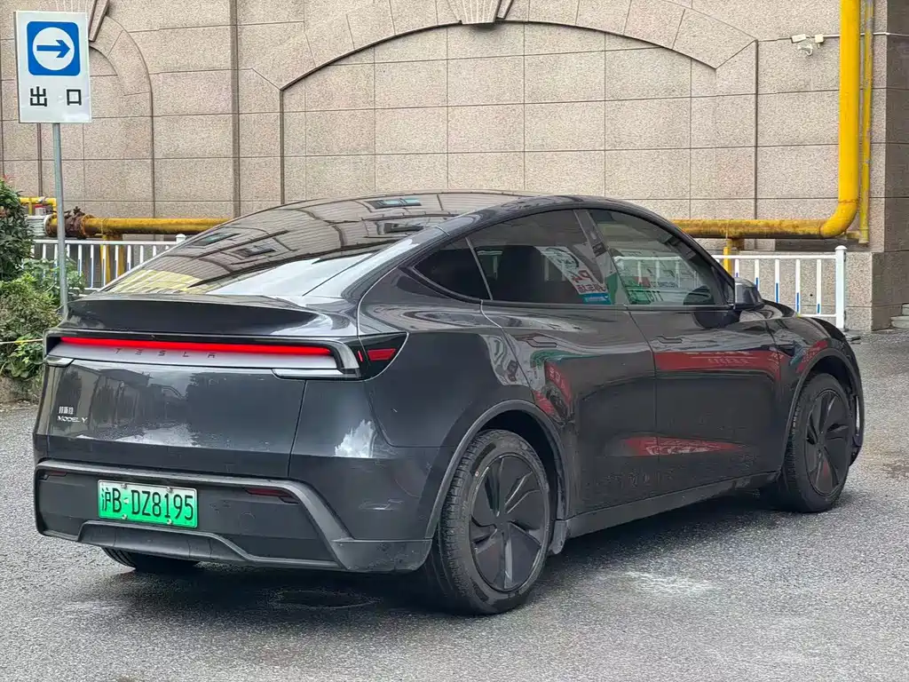 Tesla Model Y — миниатюра 7