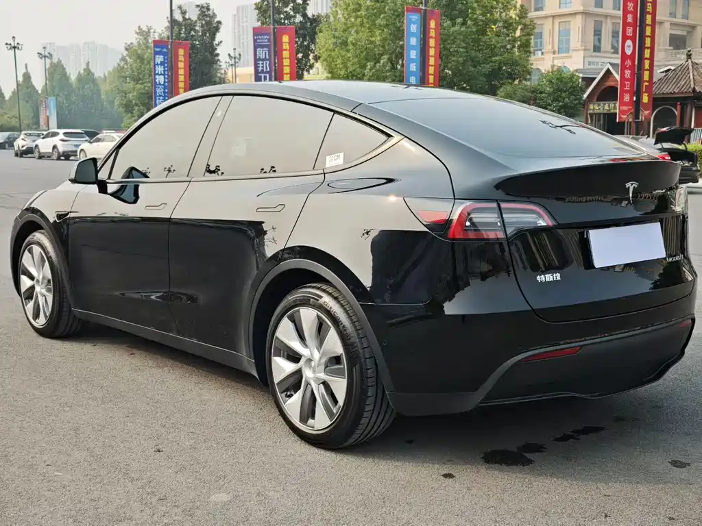 Tesla Model Y — миниатюра 4