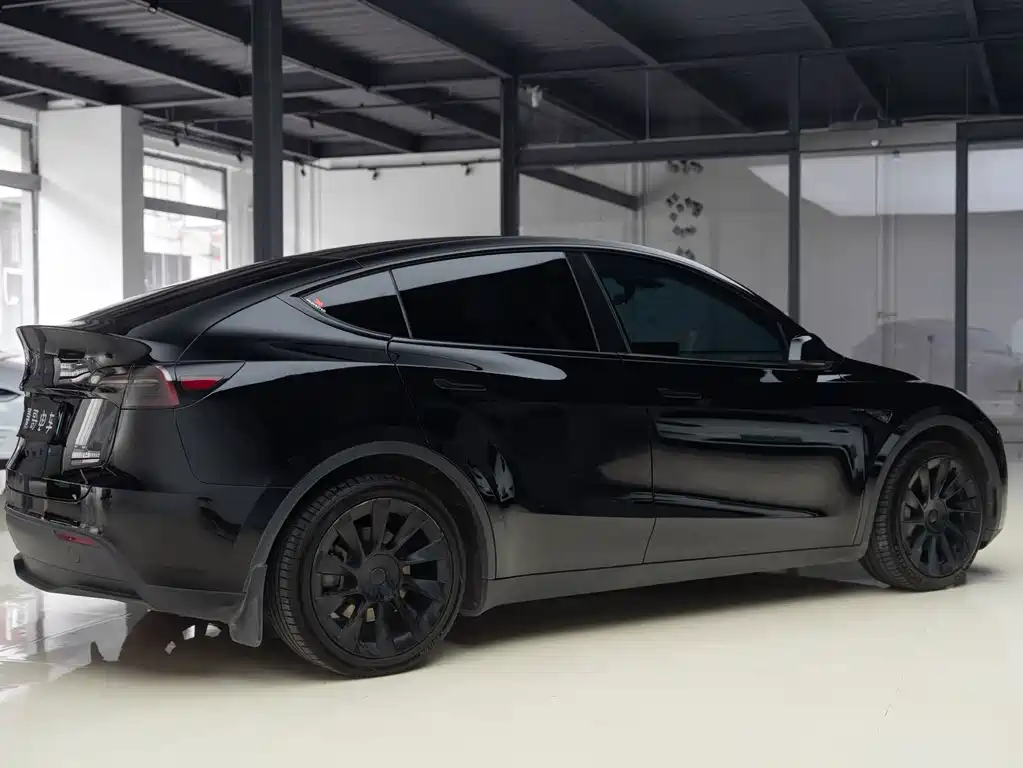 Tesla Model Y — миниатюра 5