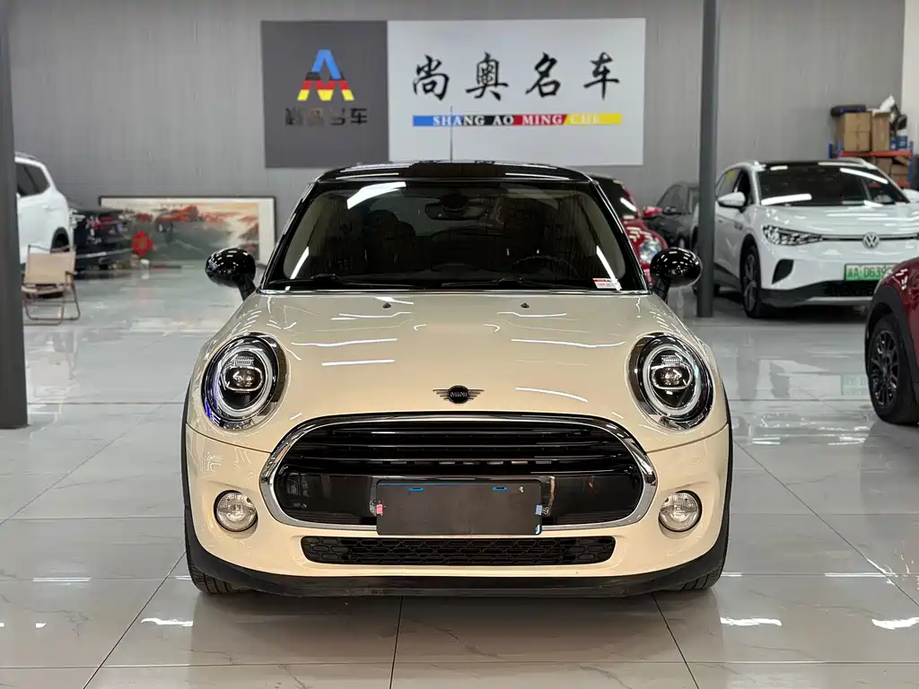 Mini Mini 2019
